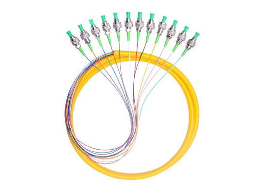 Cavo a fibre ottiche FC/APC 2.0mm della treccia di singolo modo dei 12 centri 1M per il sistema di FTTH fornitore